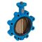 Butterfly valve Type: 6820 Ductile cast iron/Aluminum bronze Bare stem Lug type